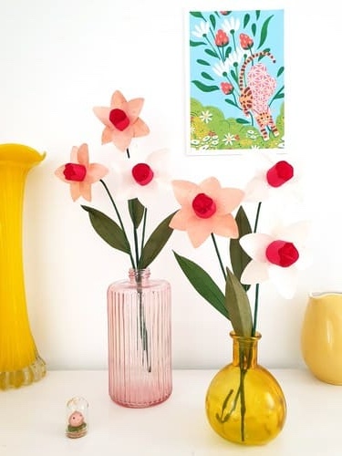 narcisses roses et naturels